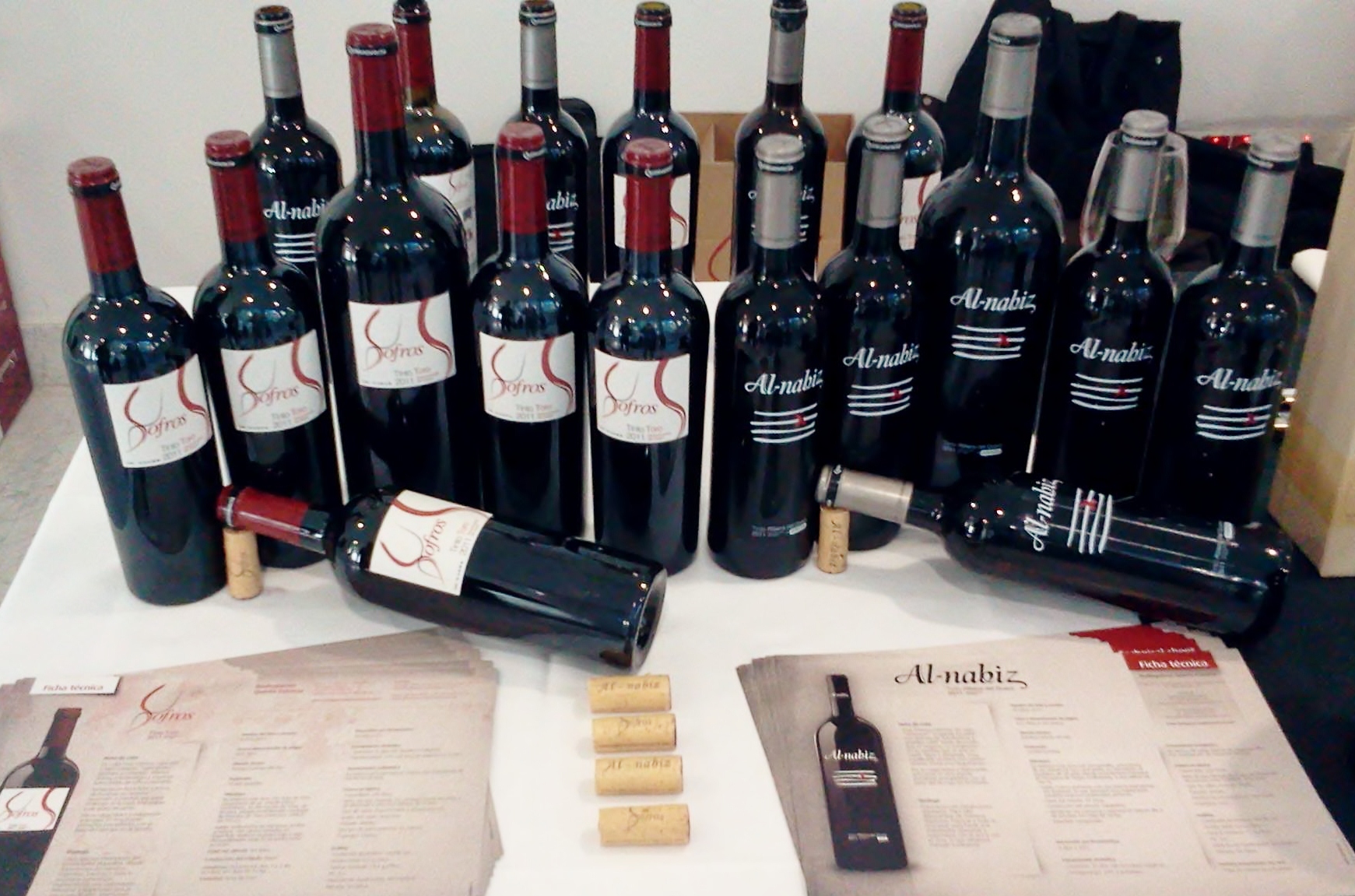 Experiencia_Verema_Madrid_2013_Sofros_Al-Nabiz_2011